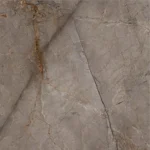 Brown Silver root