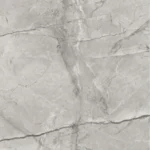 Ivory Silver root