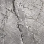 Light Grey Silver root
